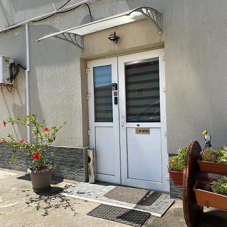 Evergreen Apartment Timişoara Buitenkant foto