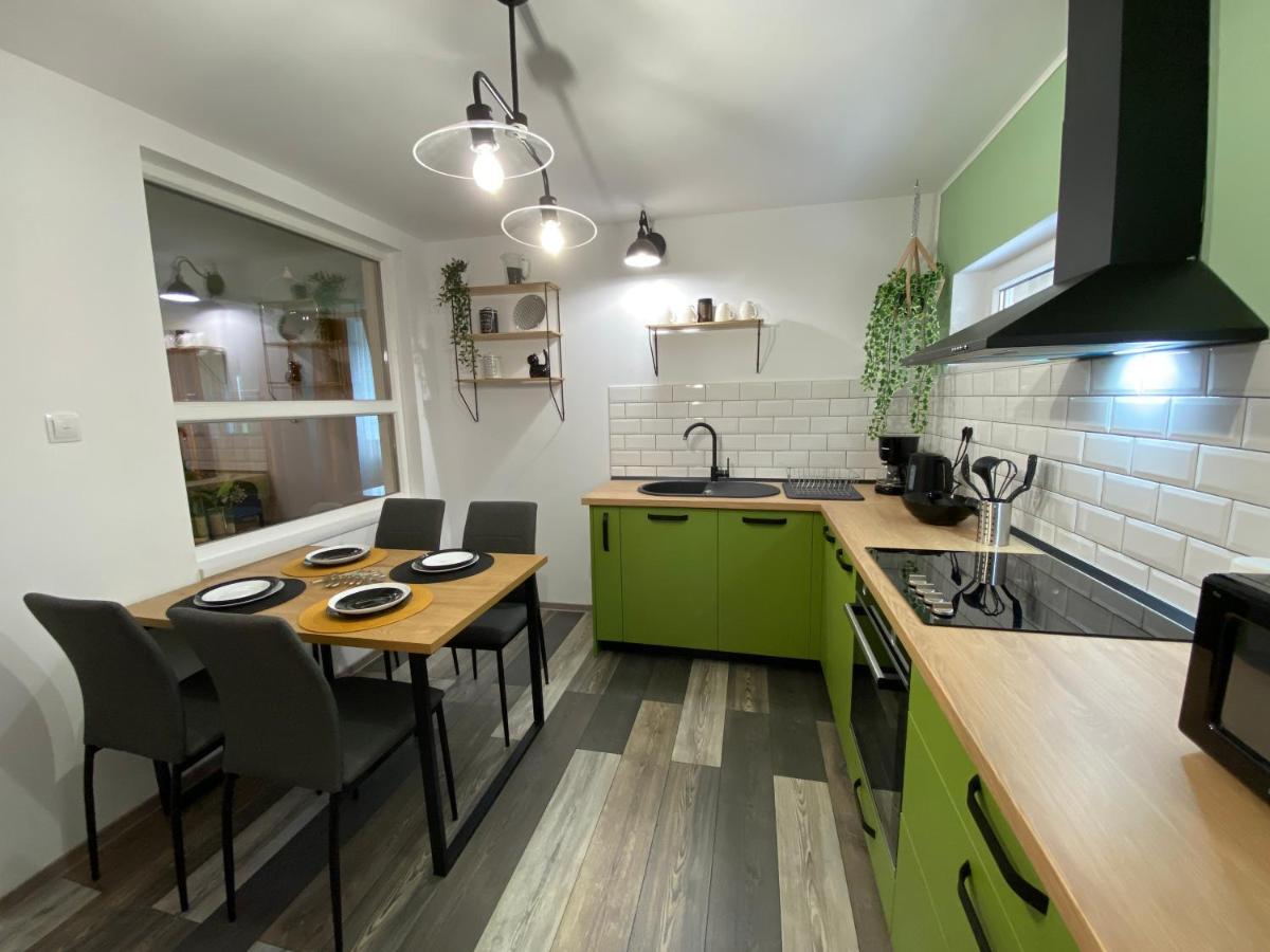 Evergreen Apartment Timişoara Buitenkant foto